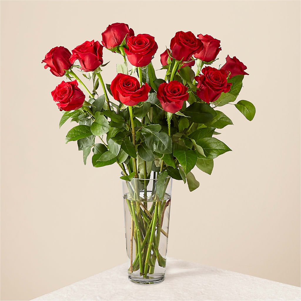 Long Stem Red Rose Bouquet – Jax Flowers Corp, Orange Park FL