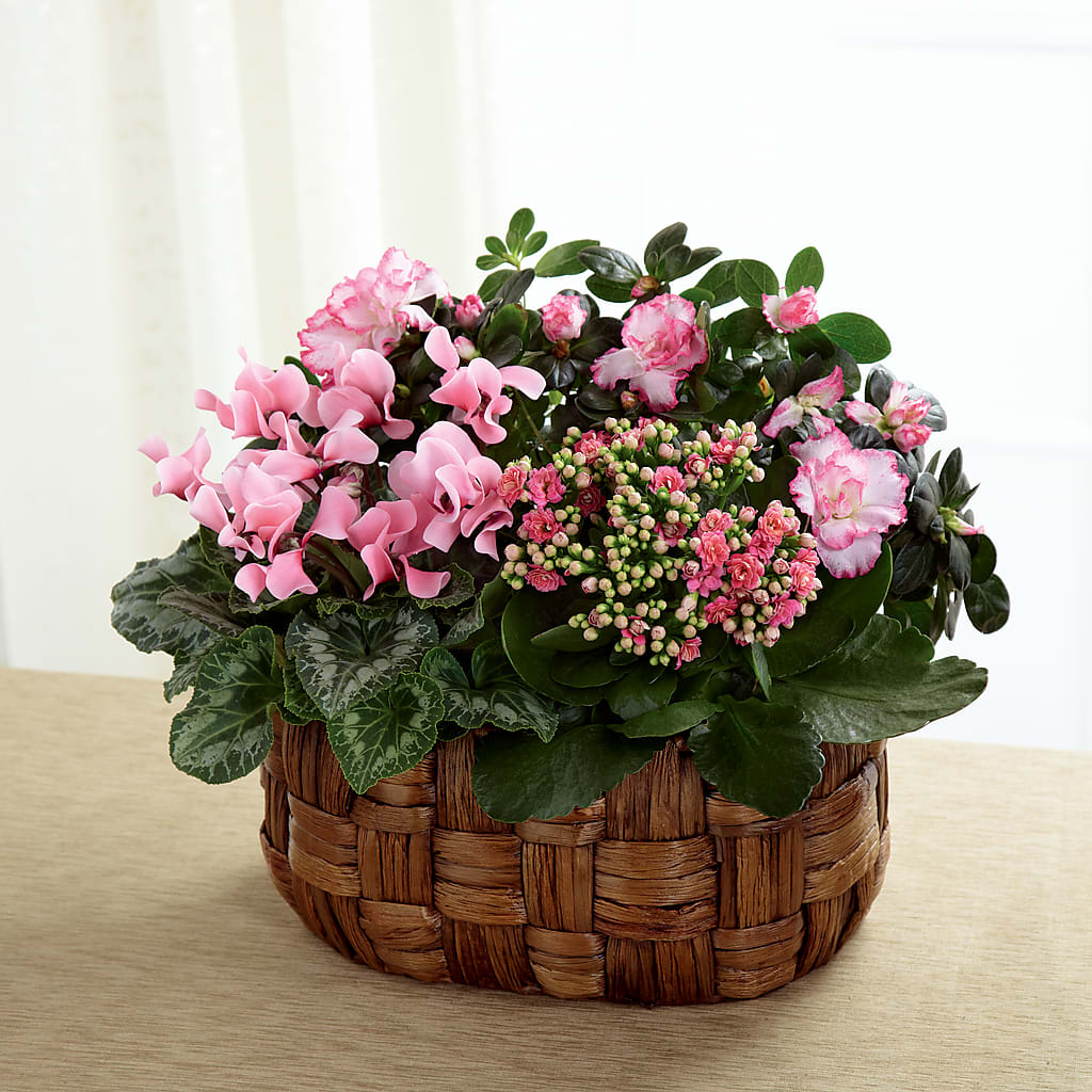 Pink Assortment – Jax Flowers Corp, Orange Park FL