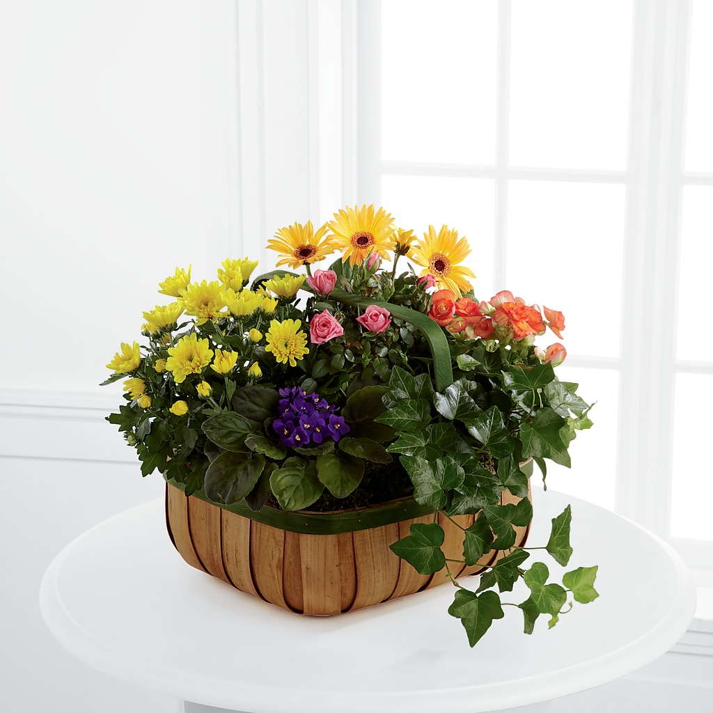 Gentle Blossoms Basket – Jax Flowers Corp, Orange Park FL