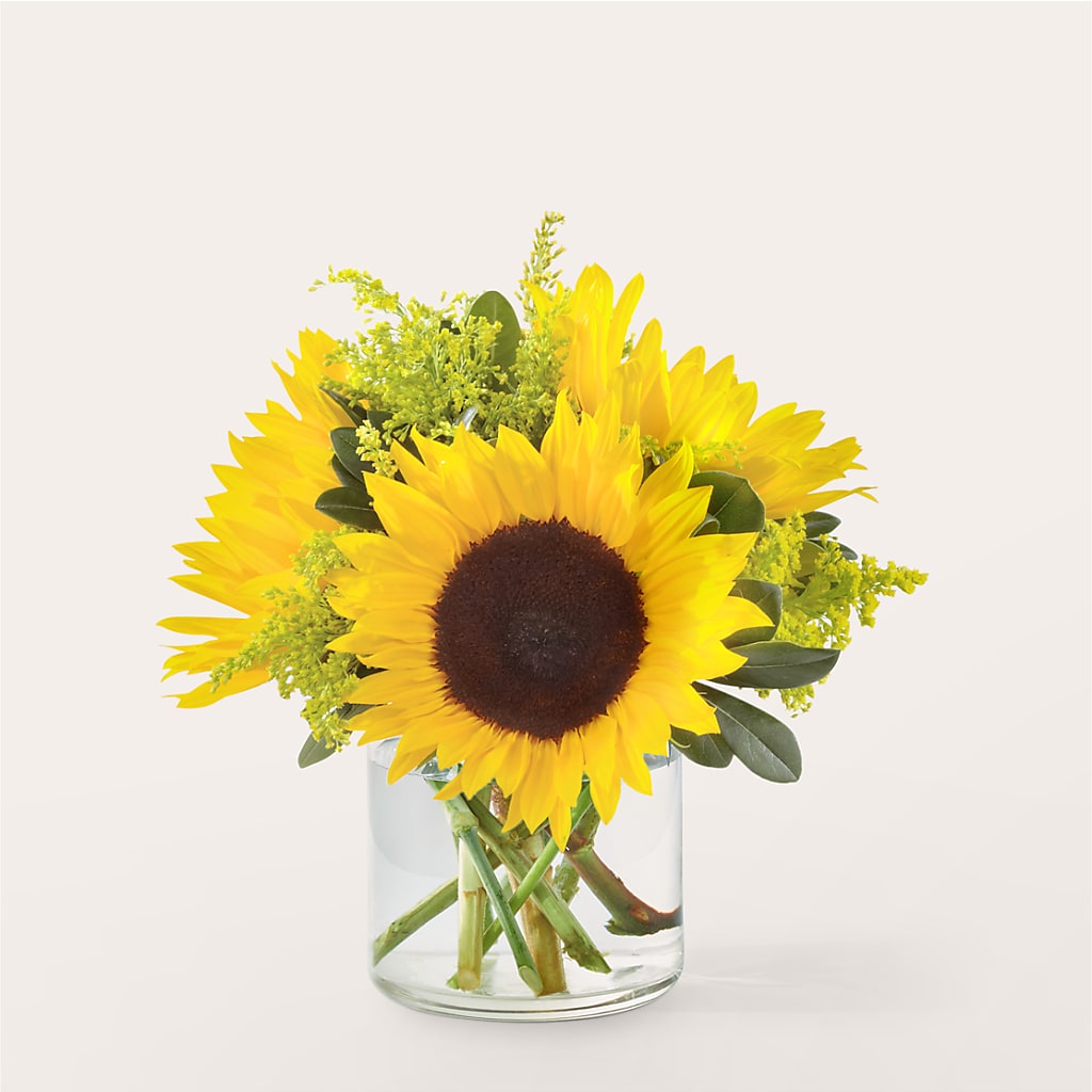 Beaming Sunflower Bouquet – Jax Flowers Corp, Orange Park FL