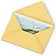 Greeting Card – Jax Flowers Corp, Orange Park FL