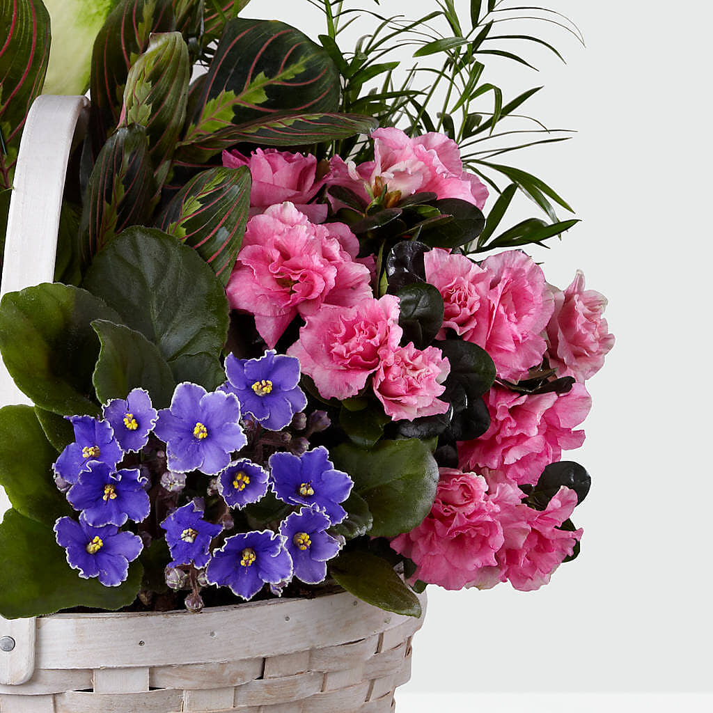 Peaceful Garden Planter – Jax Flowers Corp, Orange Park FL