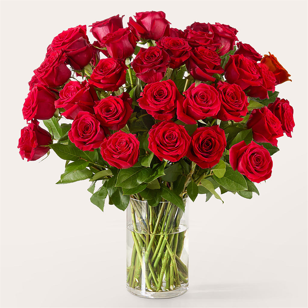 The One Red Rose Bouquet – Jax Flowers Corp, Orange Park FL