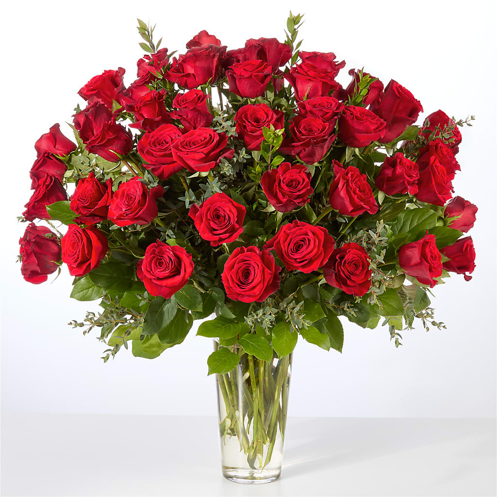 Forever Yours Fifty Stem Red Rose Bouquet – Jax Flowers Corp, Orange Park FL