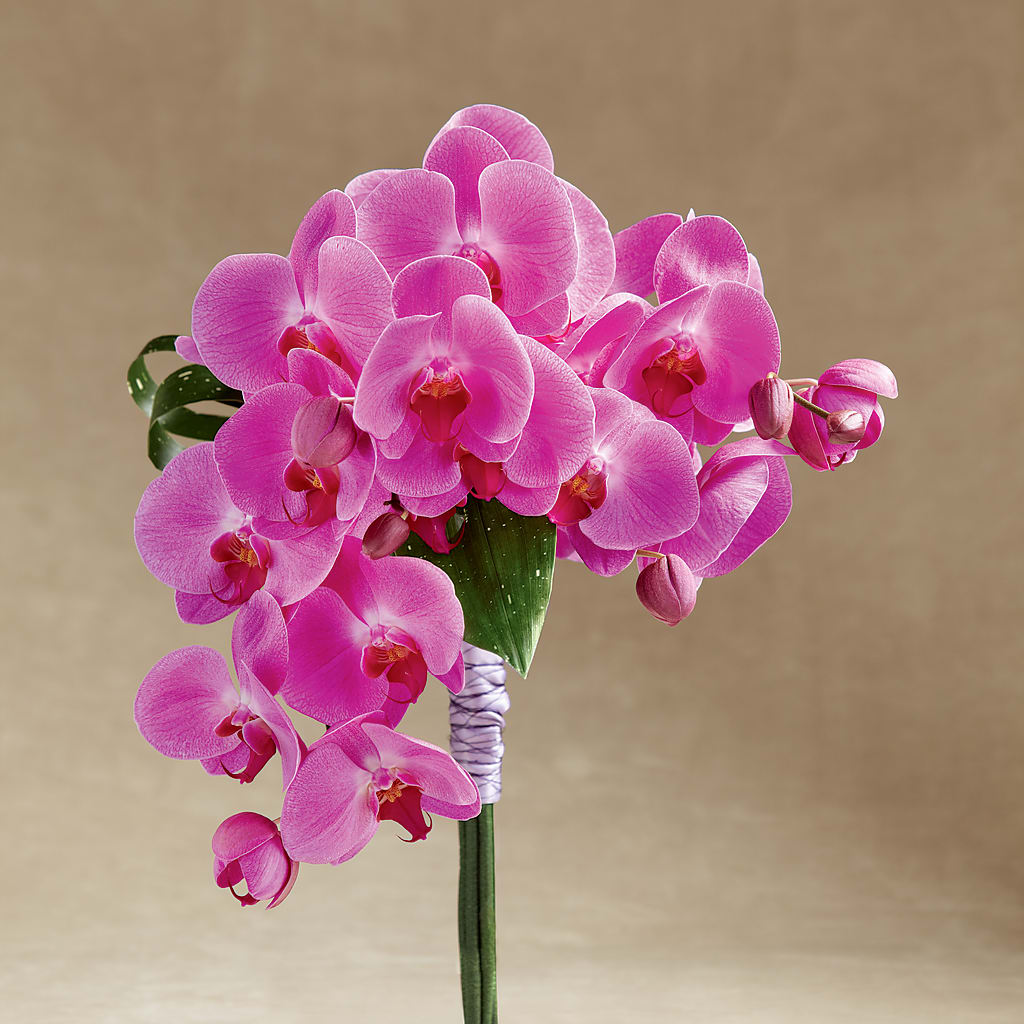 Glorious Bouquet – Jax Flowers Corp, Orange Park FL