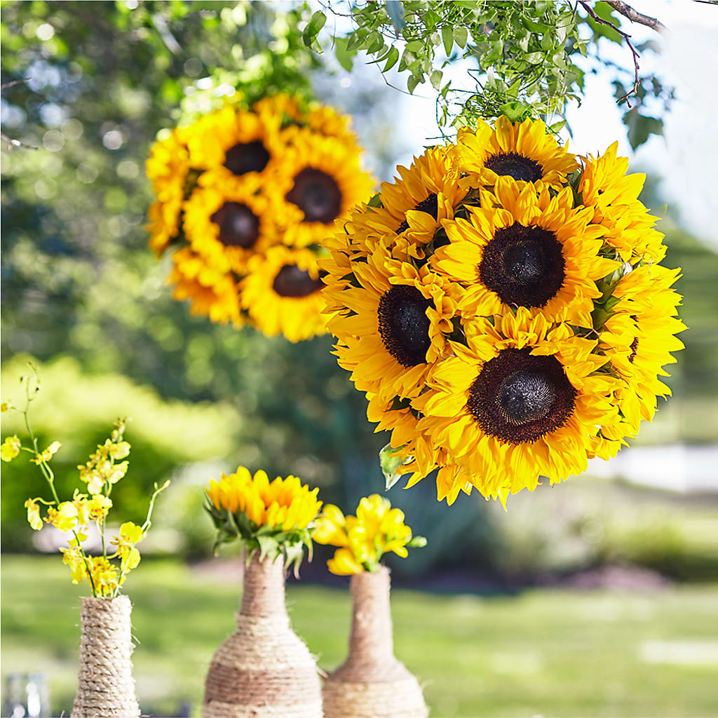Sublime Garden Hanging Arrangement – Jax Flowers Corp, Orange Park FL