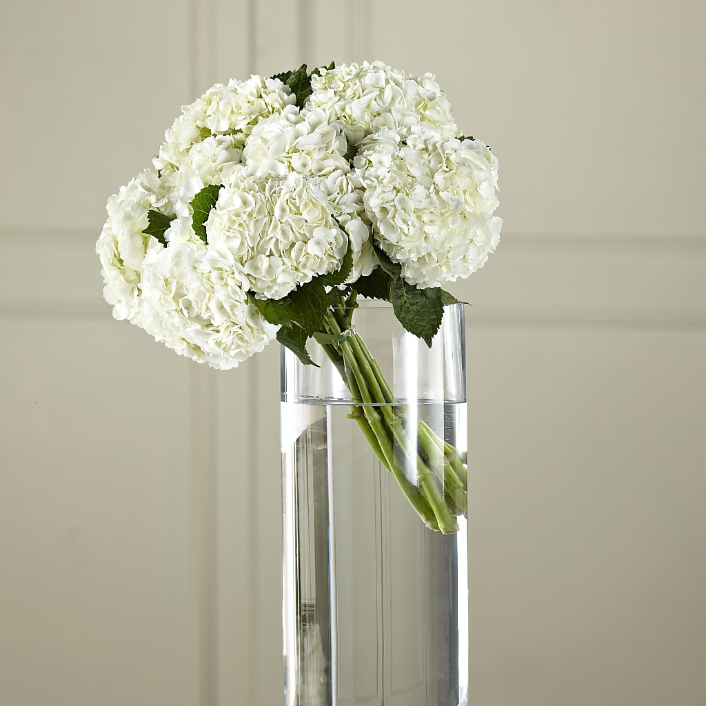 White Hydrangea Hand-Tied Bouquet – Jax Flowers Corp, Orange Park FL