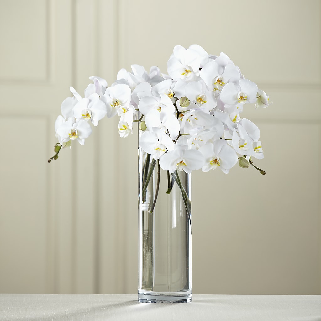 White Phalaenopsis Bouquet – Jax Flowers Corp, Orange Park FL
