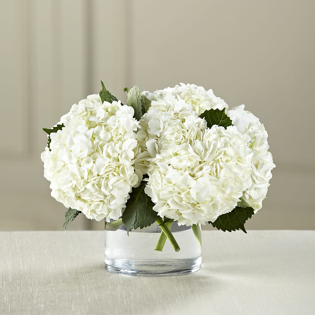 White Hydrangea Bouquet – Jax Flowers Corp, Orange Park FL