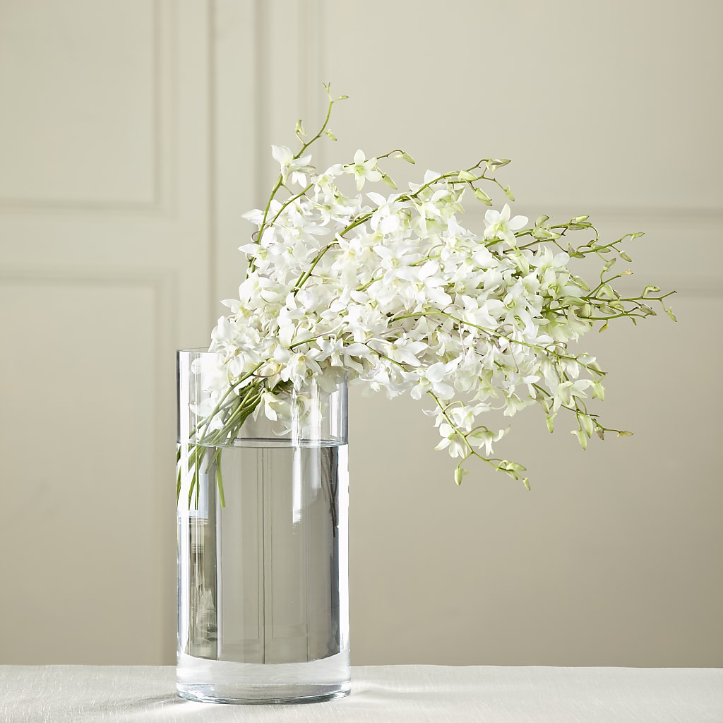 White Dendrobium Bouquet – Jax Flowers Corp, Orange Park FL