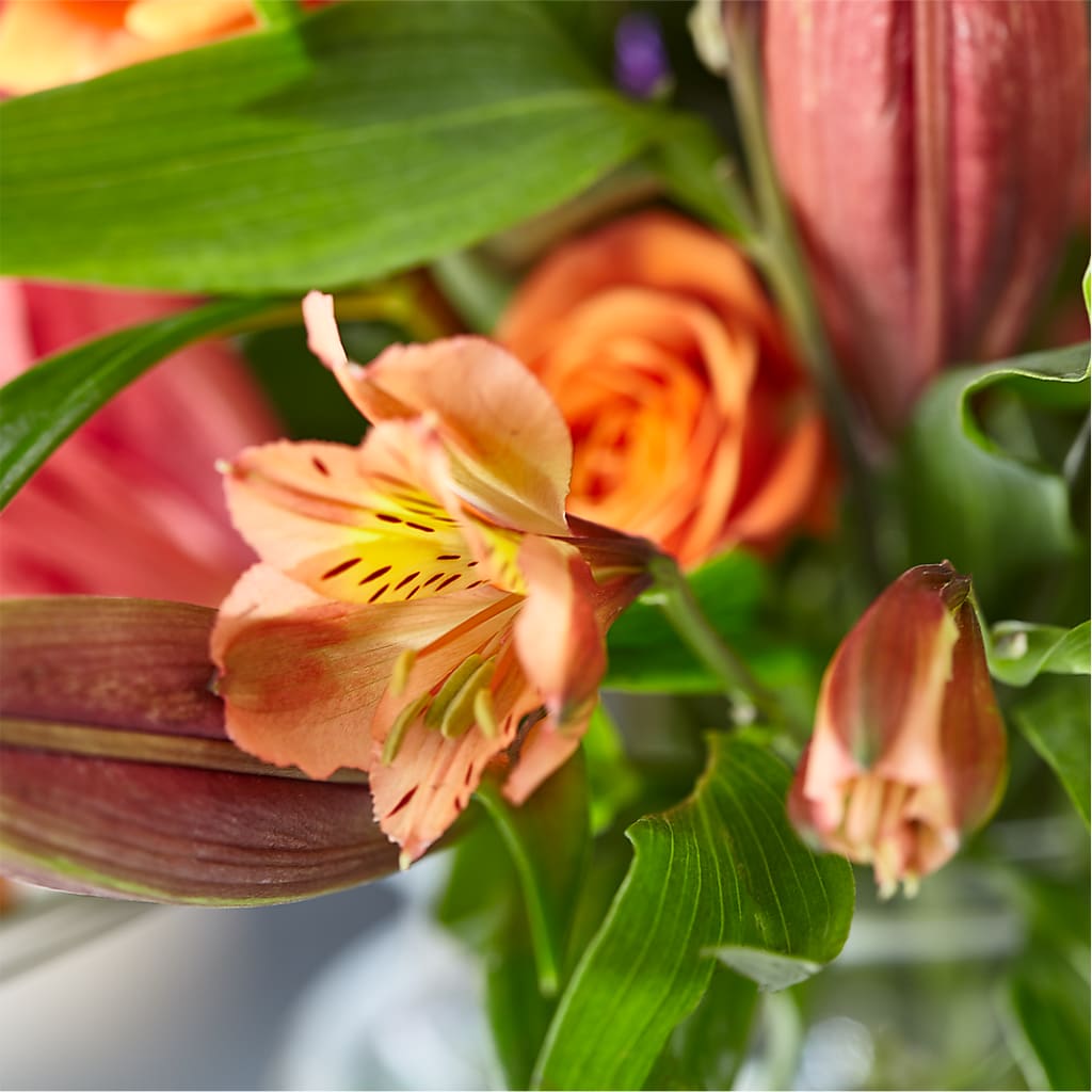 Bold & Bright – A Florist Original –  Jax Flowers Corp, Orange Park FL