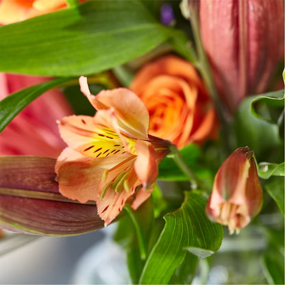Bold & Bright – A Florist Original –  Jax Flowers Corp, Orange Park FL
