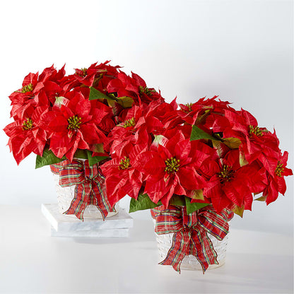 Happiest Holidays Poinsettia Bundle –  Jax Flowers Corp, Orange Park FL
