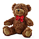 Adorable Plush Bear –  Jax Flowers Corp, Orange Park FL