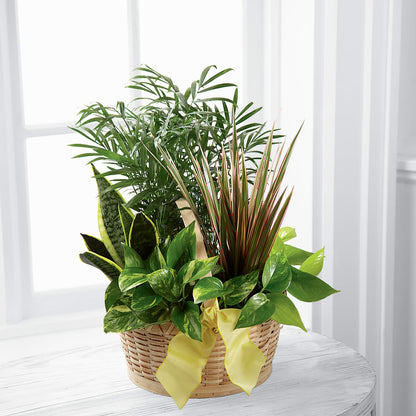 French Garden –  Jax Flowers Corp, Orange Park FL