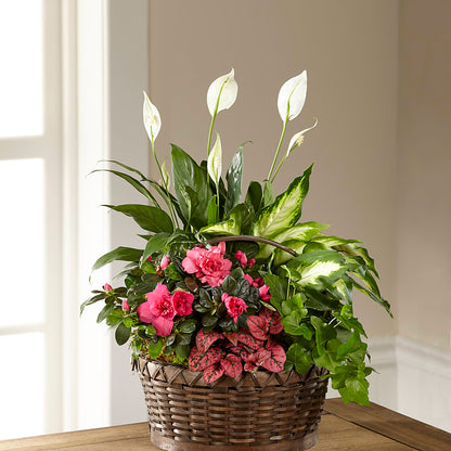 Dream in Pink Dishgarden –  Jax Flowers Corp, Orange Park FL