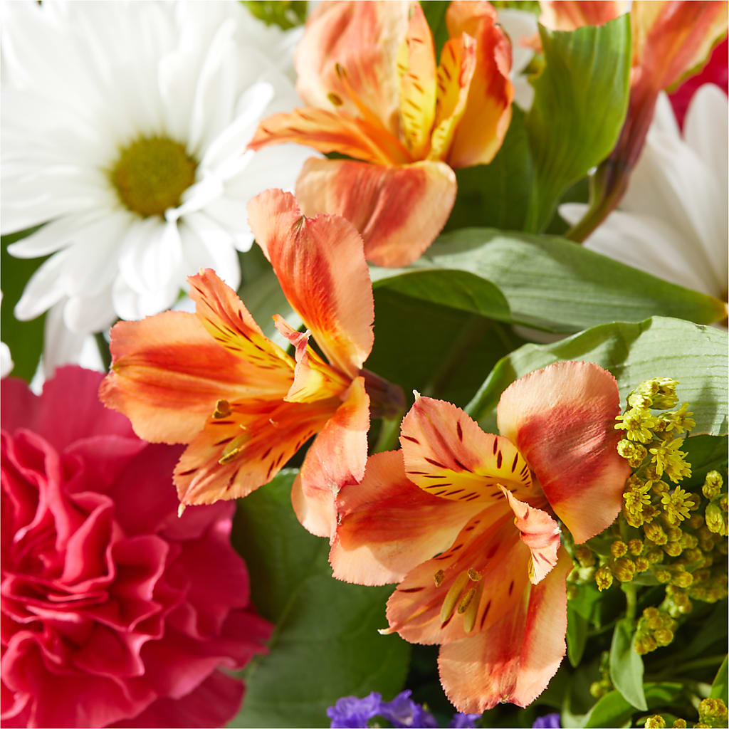 Oopsie Daisy Box Bouquet –  Jax Flowers Corp, Orange Park FL