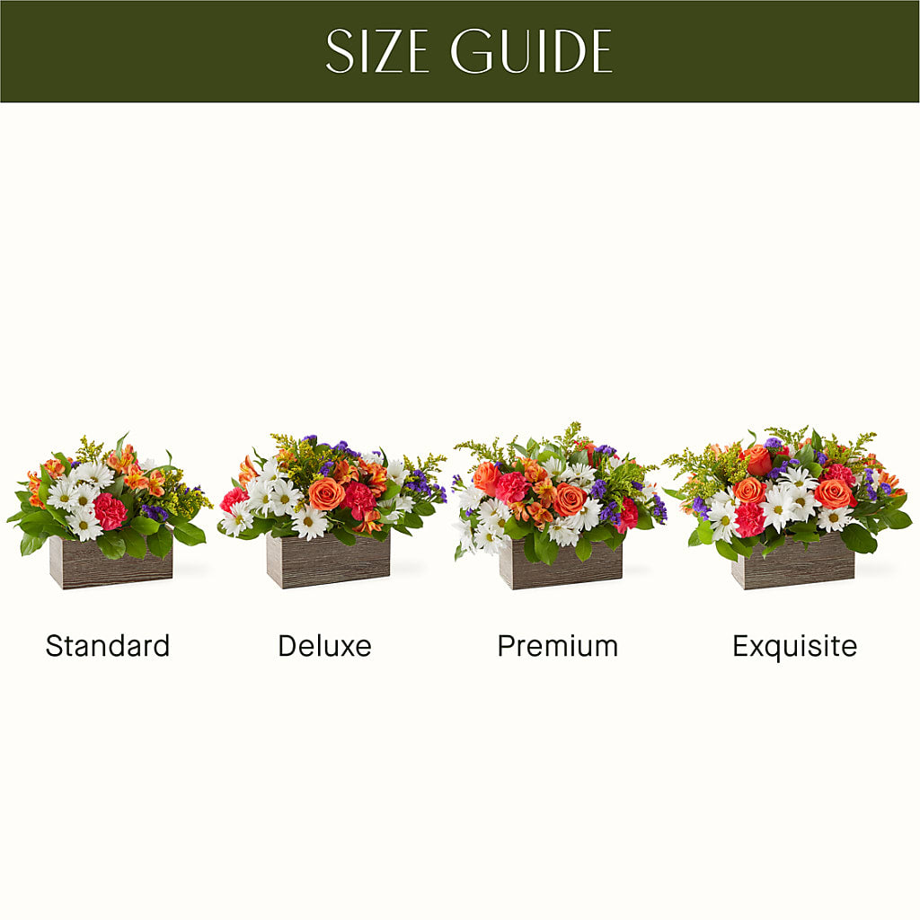Oopsie Daisy Box Bouquet –  Jax Flowers Corp, Orange Park FL