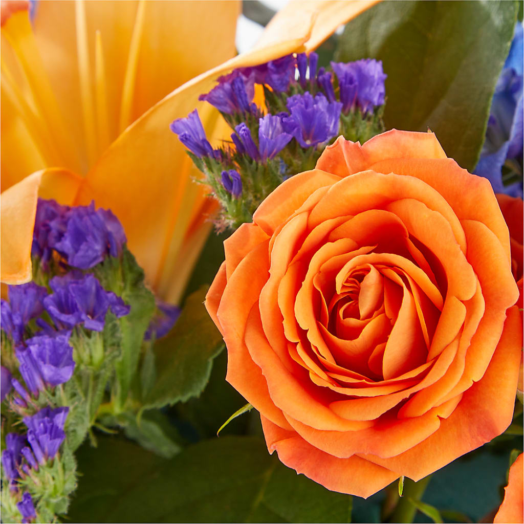 Radiant Citrus Box Bouquet –  Jax Flowers Corp, Orange Park FL