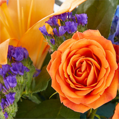 Radiant Citrus Box Bouquet –  Jax Flowers Corp, Orange Park FL