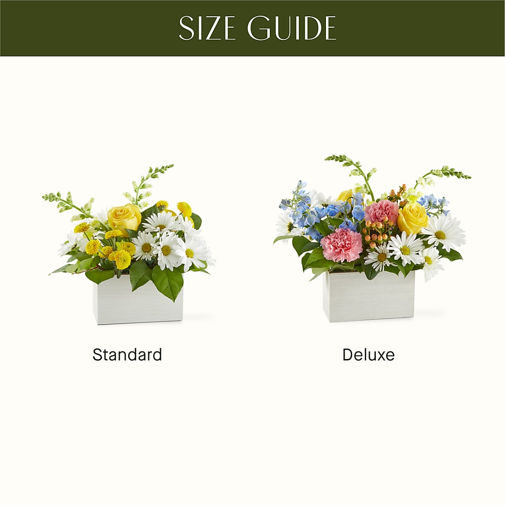 Sun Salutation Box Bouquet –  Jax Flowers Corp, Orange Park FL