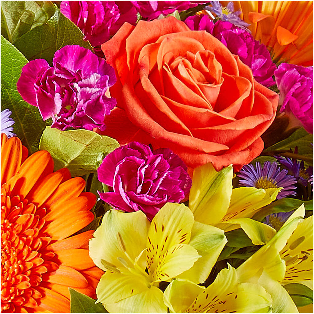 Tricks & Treats Pumpkin –  Jax Flowers Corp, Orange Park FL