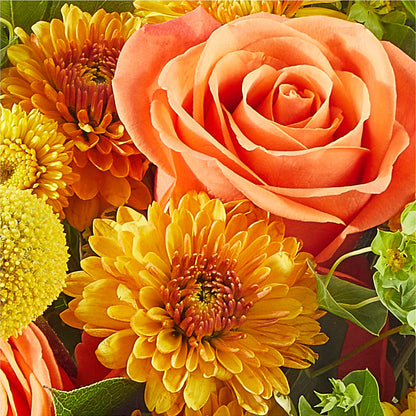 Gourdgeous Pumpkin –  Jax Flowers Corp, Orange Park FL