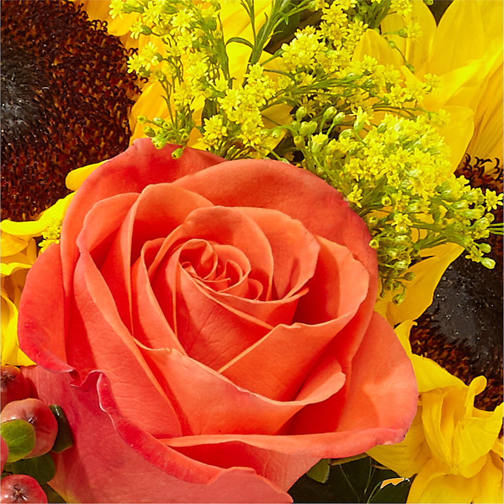 Pick of the Patch Pumpkin Bouquet –  Jax Flowers Corp, Orange Park FL