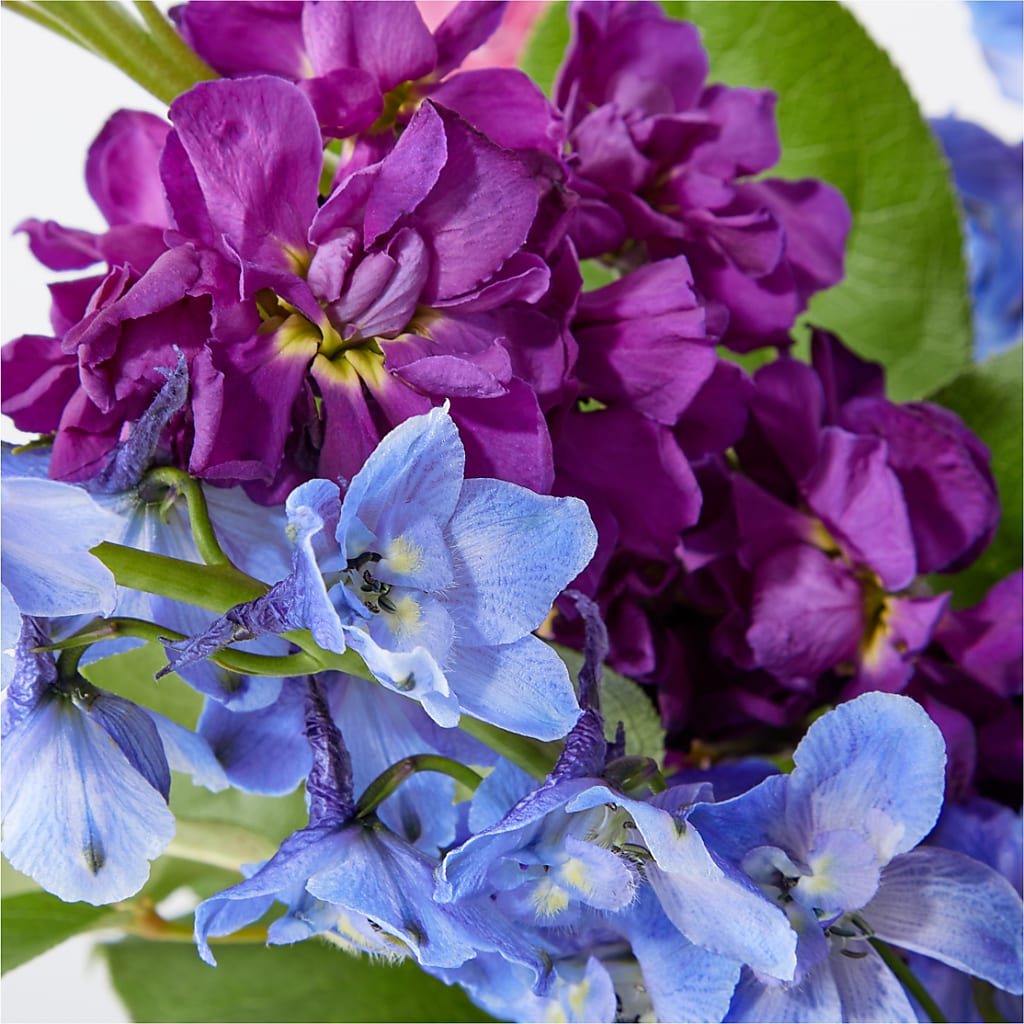 Twilight Glow Bouquet –  Jax Flowers Corp, Orange Park FL