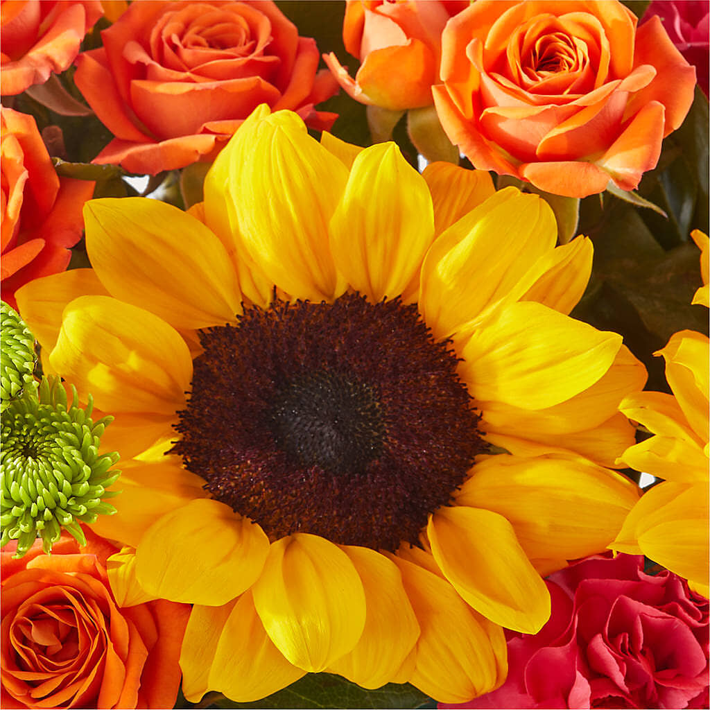 Sun-drenched Blooms Box Bouquet –  Jax Flowers Corp, Orange Park FL