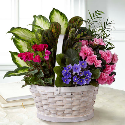 Peaceful Garden Planter –  Jax Flowers Corp, Orange Park FL