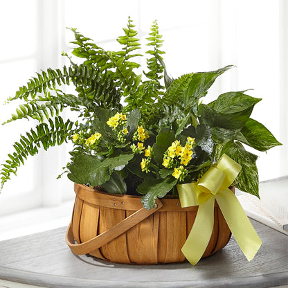 Always Dear Dishgarden –  Jax Flowers Corp, Orange Park FL