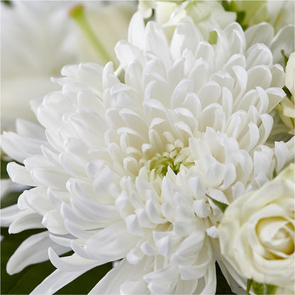 Classic Ivory – A Florist Original –  Jax Flowers Corp, Orange Park FL