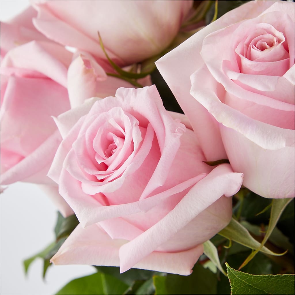 Picture Perfect Pink Rose Bouquet –  Jax Flowers Corp, Orange Park FL