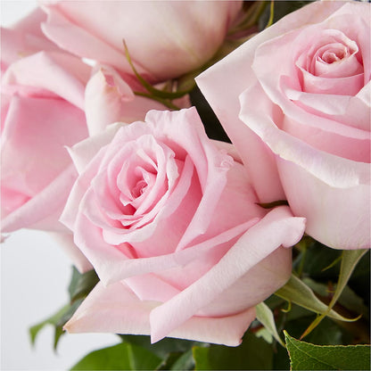 Picture Perfect Pink Rose Bouquet –  Jax Flowers Corp, Orange Park FL