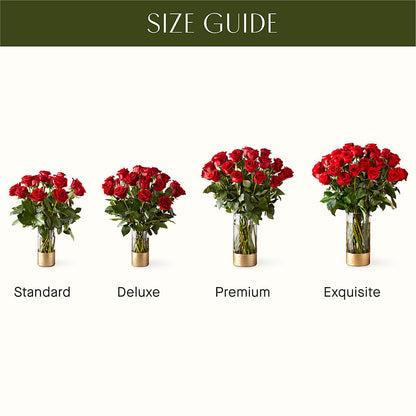 Classic Love Red Rose Bouquet –  Jax Flowers Corp, Orange Park FL