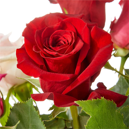 Love Notes Rose Bouquet –  Jax Flowers Corp, Orange Park FL
