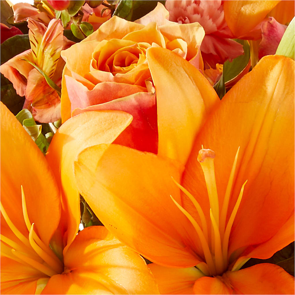 Afternoon Light Bouquet –  Jax Flowers Corp, Orange Park FL