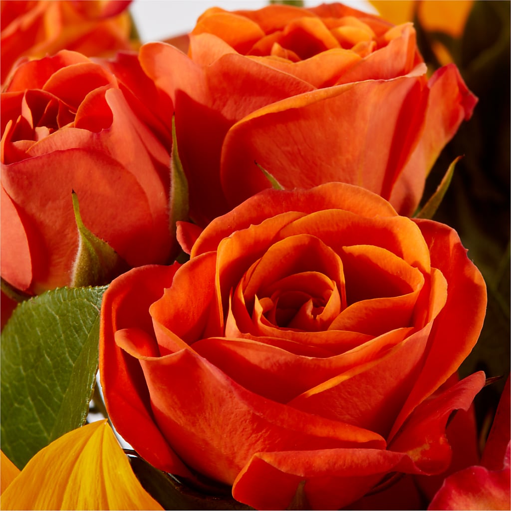 Picnic in the Park Bouquet –  Jax Flowers Corp, Orange Park FL