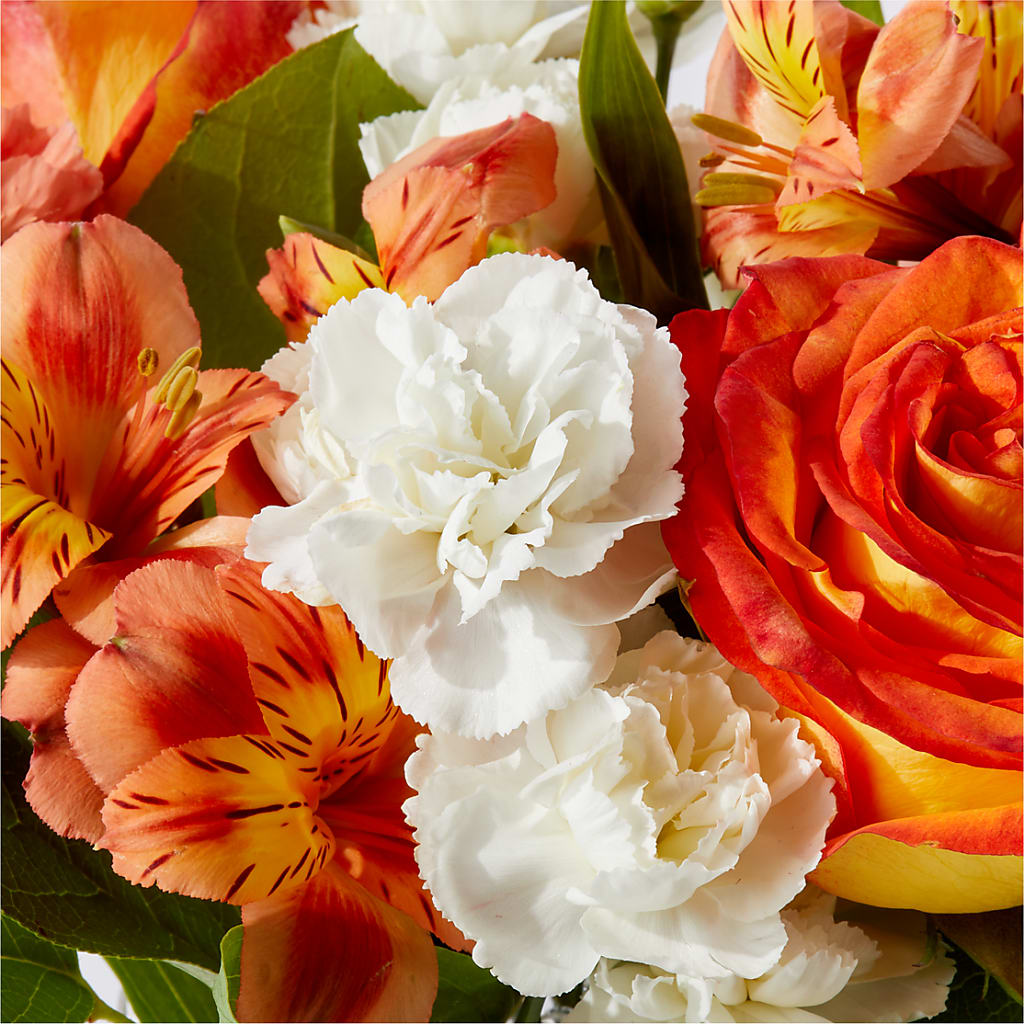 Apricot Glow Bouquet –  Jax Flowers Corp, Orange Park FL