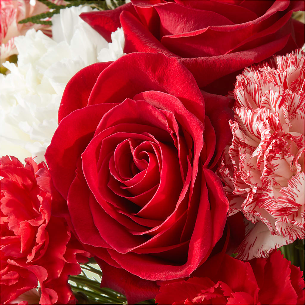 Candy Cane Lane Bouquet –  Jax Flowers Corp, Orange Park FL