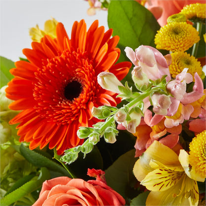 Autumn Sunshine Bouquet –  Jax Flowers Corp, Orange Park FL