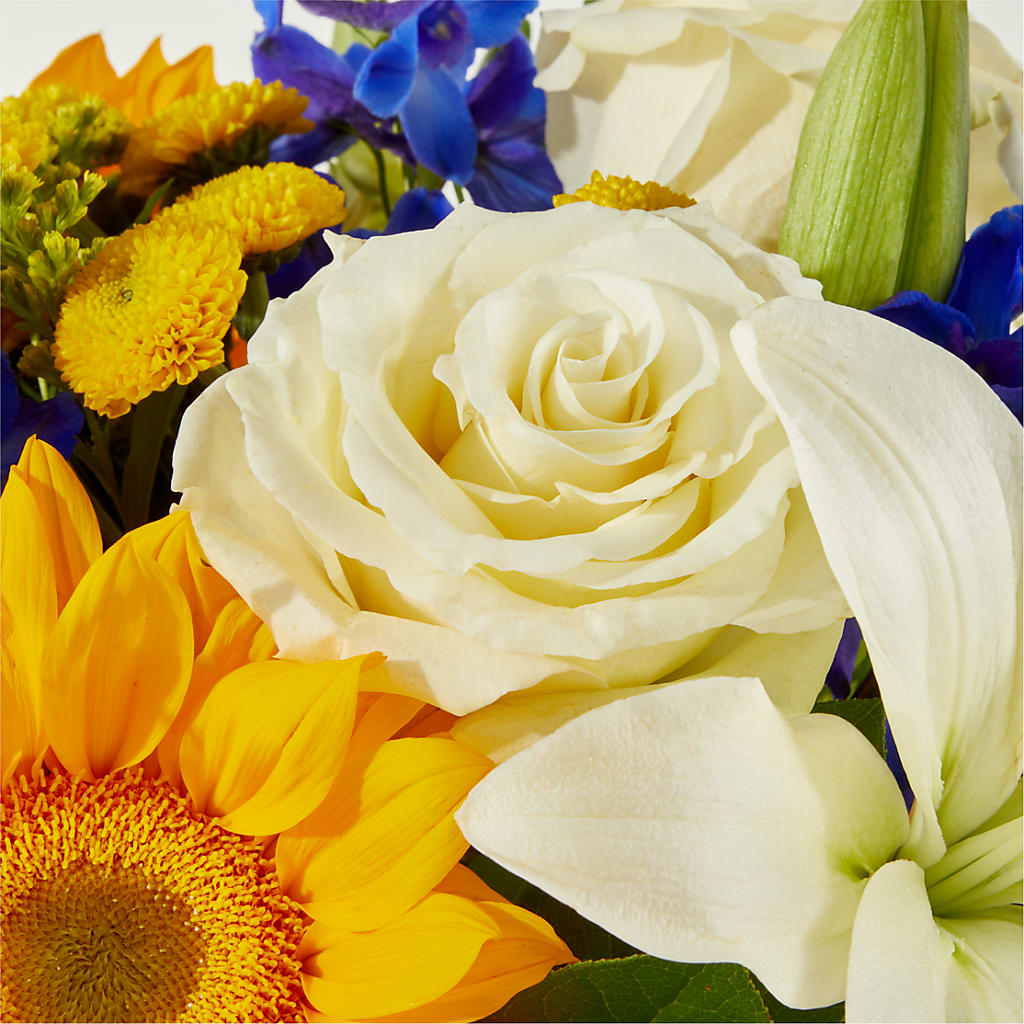 Stargazing Bouquet –  Jax Flowers Corp, Orange Park FL