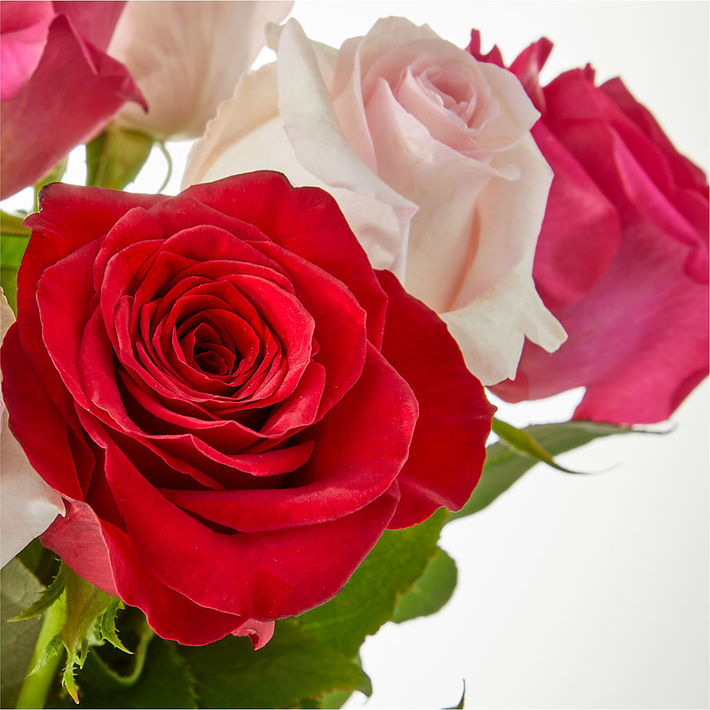 Charming Rose Bouquet –  Jax Flowers Corp, Orange Park FL