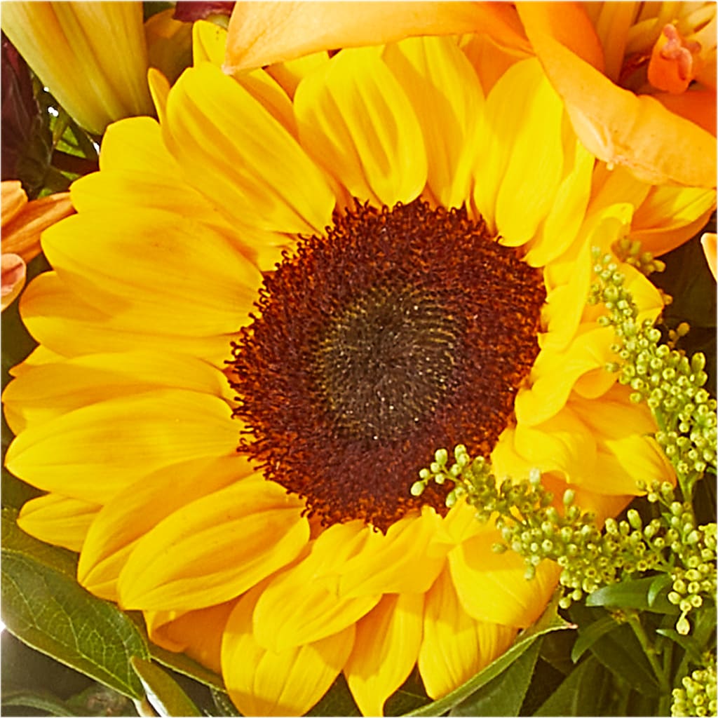 Seasons Change Bouquet –  Jax Flowers Corp, Orange Park FL