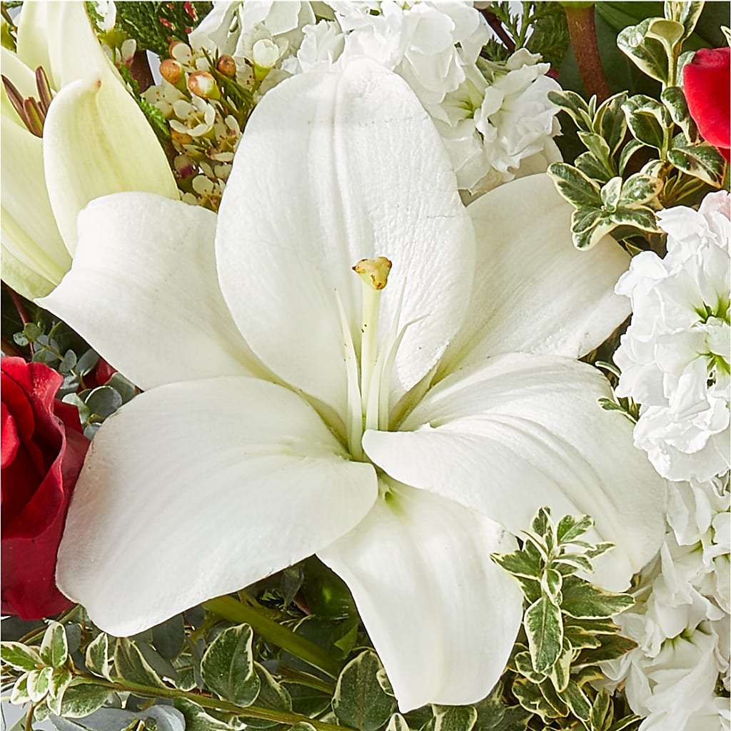 Twinkle Lights Bouquet –  Jax Flowers Corp, Orange Park FL