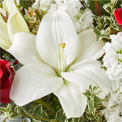 Twinkle Lights Bouquet –  Jax Flowers Corp, Orange Park FL