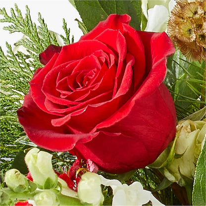 Deck the Halls Bouquet –  Jax Flowers Corp, Orange Park FL