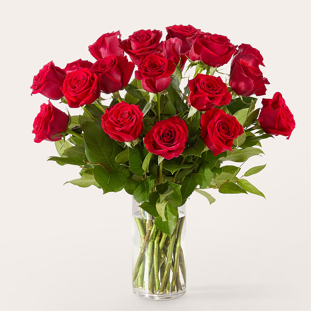 The One Red Rose Bouquet –  Jax Flowers Corp, Orange Park FL