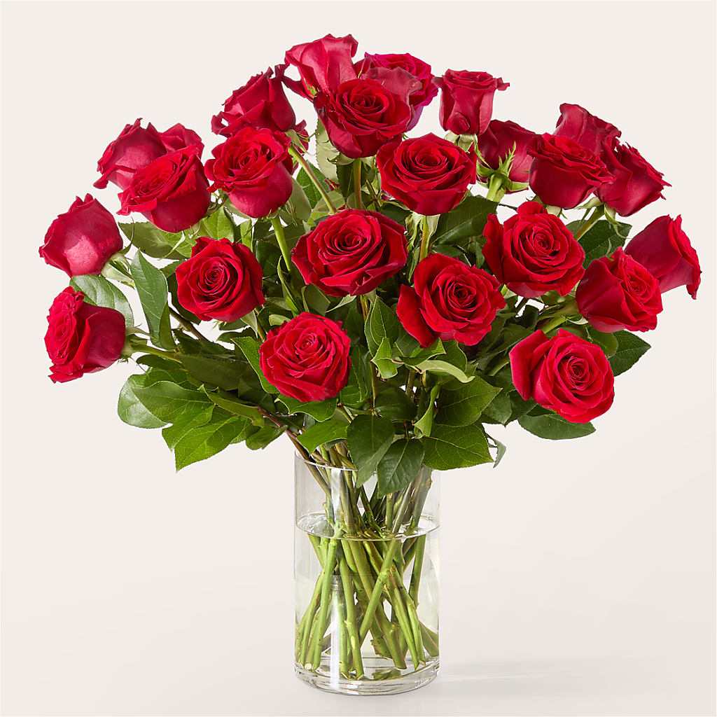 The One Red Rose Bouquet –  Jax Flowers Corp, Orange Park FL